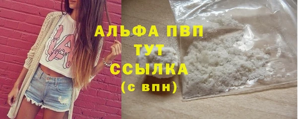 PSILOCYBIN Сафоново
